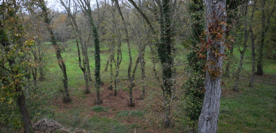 , Seine-et-Marne. Patrimoine en vente : devenez l&rsquo;heureux propri&eacute;taire d&rsquo;une tour historique de ce village