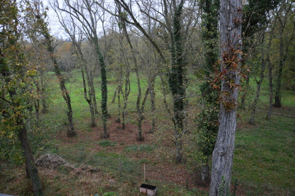 la vue du haut de la tour
