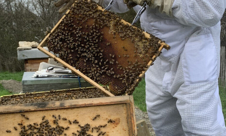 , Cette commune du val-d&rsquo;Oise r&eacute;compens&eacute;e pour son engagement envers les abeilles