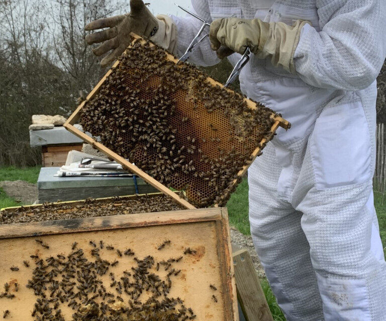Gilles Roisin, adh&eacute;rent de la Goutte d&rsquo;or, s&rsquo;occupant de sa ruche au rucher-&eacute;cole d'Argenteuil.