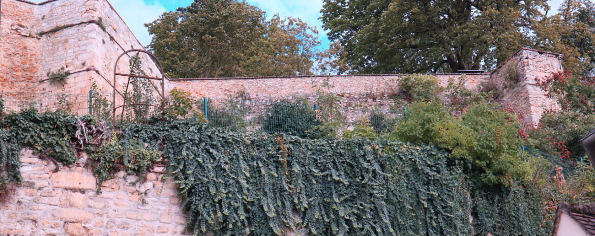 , Cette ville du Val-d&rsquo;Oise &eacute;labore son budget &laquo; dans un brouillard in&eacute;dit