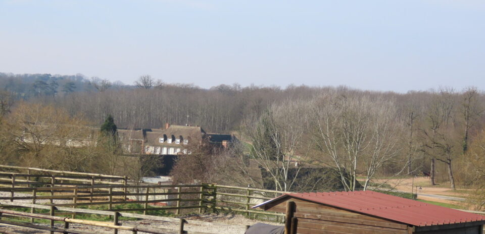, « On a besoin de jeunes » : cette riche commune du Val-de-Marne veut sortir de son image de « ville-dortoir »