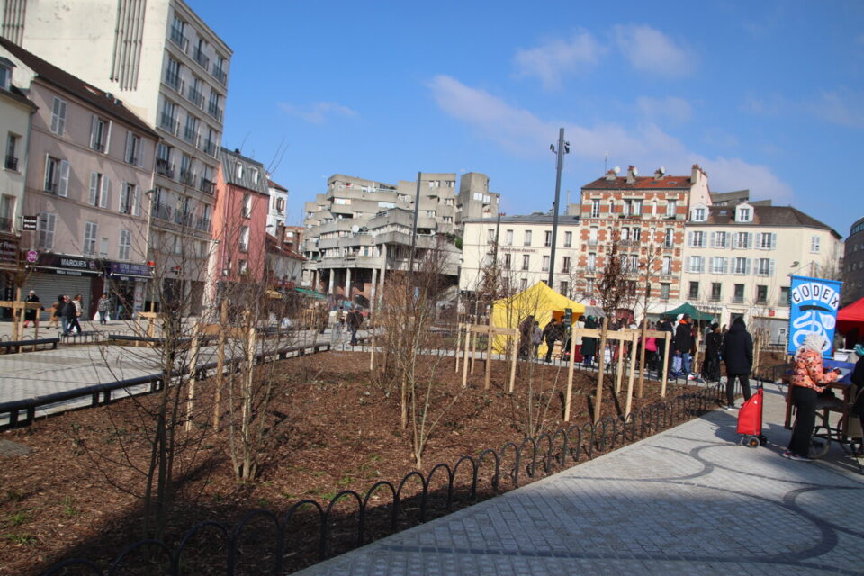 Une centaine d'arbres ont &eacute;t&eacute; plant&eacute;s sur la place. Ils s'ajoutent aux 25 existants auparavant. 