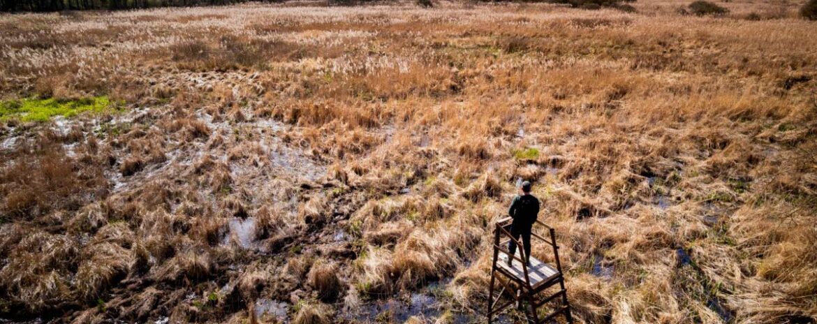 , En qu&ecirc;te de demain | Marne Un village s&rsquo;engage depuis quatre ans pour prot&eacute;ger son marais
