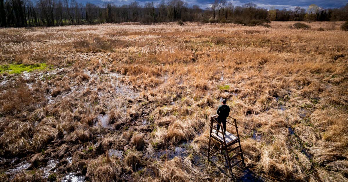 , En qu&ecirc;te de demain | Marne Un village s&rsquo;engage depuis quatre ans pour prot&eacute;ger son marais