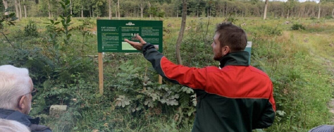 , Le coup de gueule de ce maire du Val-d&rsquo;Oise contre la gestion de la for&ecirc;t de Montmorency