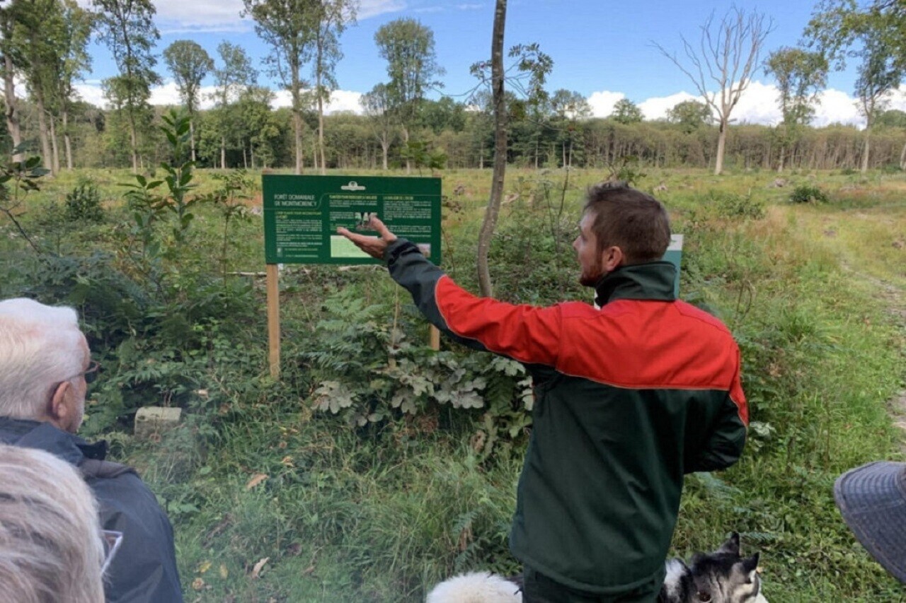 , Le coup de gueule de ce maire du Val-d&rsquo;Oise contre la gestion de la for&ecirc;t de Montmorency