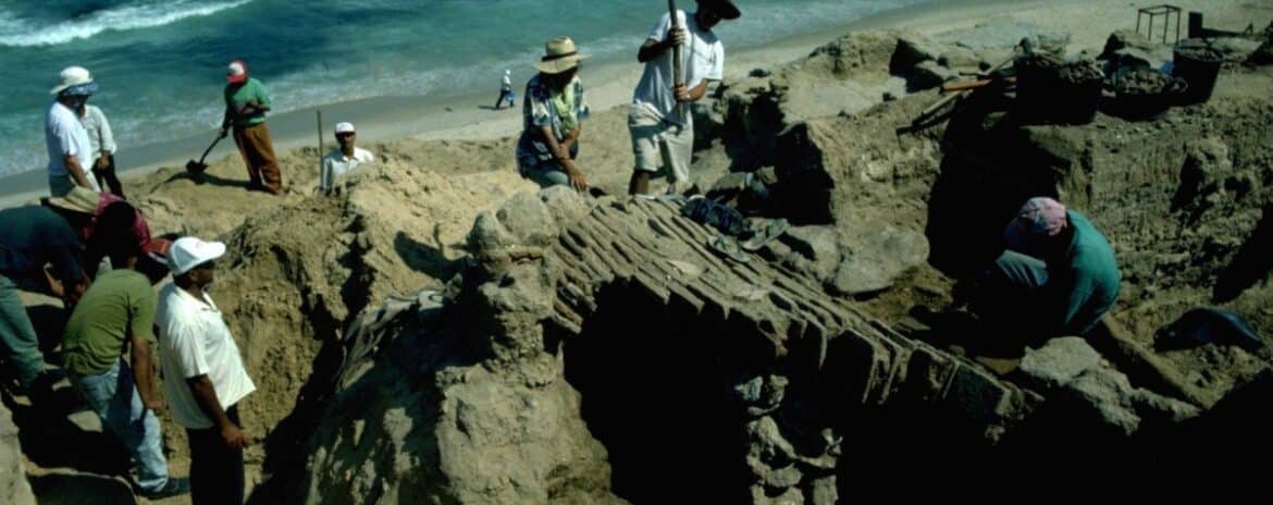 , Tr&eacute;sors sauv&eacute;s de Gaza – 5000 ans d&rsquo;histoire