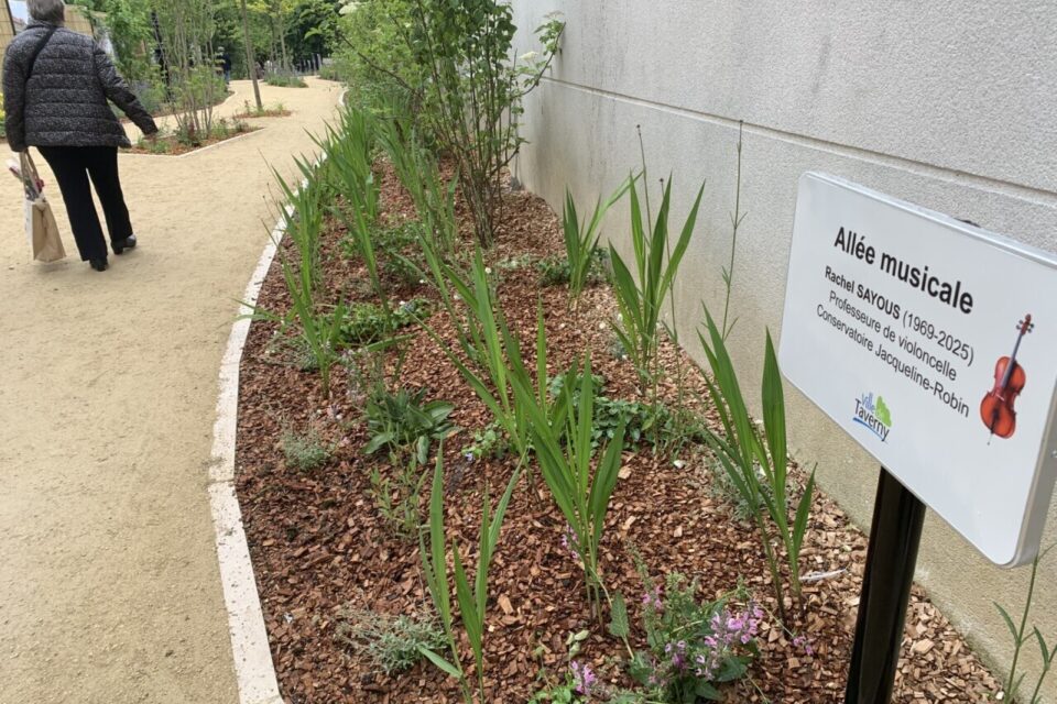 La coul&eacute;e verte a &eacute;t&eacute; baptis&eacute;e All&eacute;e Rcahl Sayous en hommage &agrave; la professeure de violoncelle du conservatoire Jacqueline-Robin, r&eacute;cemment disparue.