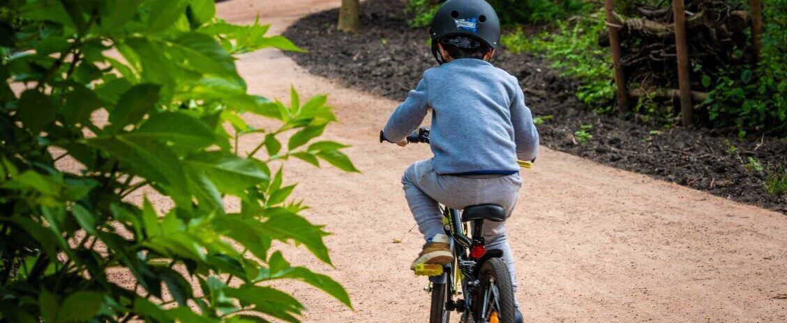 , Dans le Val-d&rsquo;Oise, un inventaire pour prot&eacute;ger la biodiversit&eacute; en ville