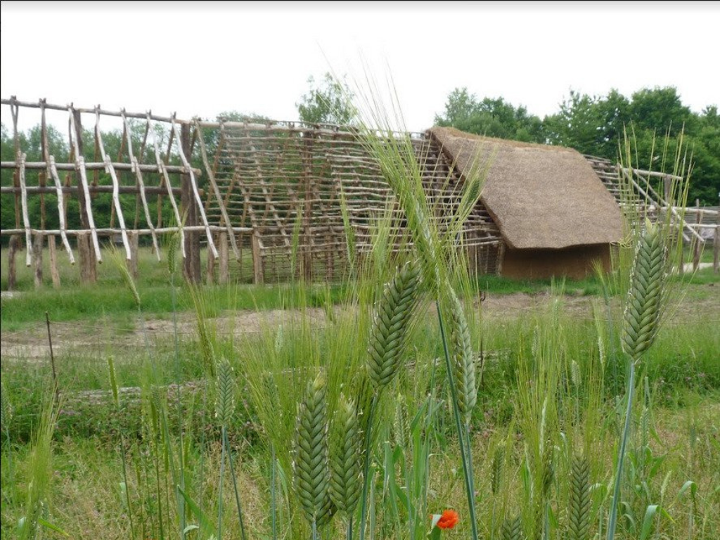 , Trois activités gratuites pour en savoir plus sur le passé archéologique de la Seine-Saint-Denis