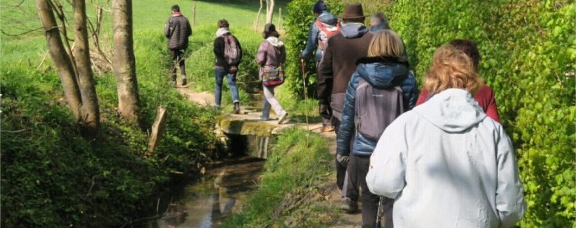 , Val d&rsquo;Oise : la saison 2025 des &laquo;&nbsp;Balades du dimanche&nbsp;&raquo; est lanc&eacute;e