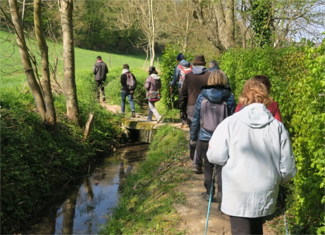 , Val d&rsquo;Oise : la saison 2025 des &laquo;&nbsp;Balades du dimanche&nbsp;&raquo; est lanc&eacute;e