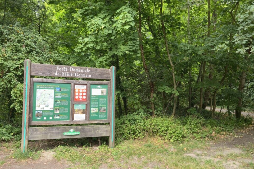 La forêt est présenté comme faisant partie du patrimoine immatériel de Saint-Germain-en-Laye (Yvelines).