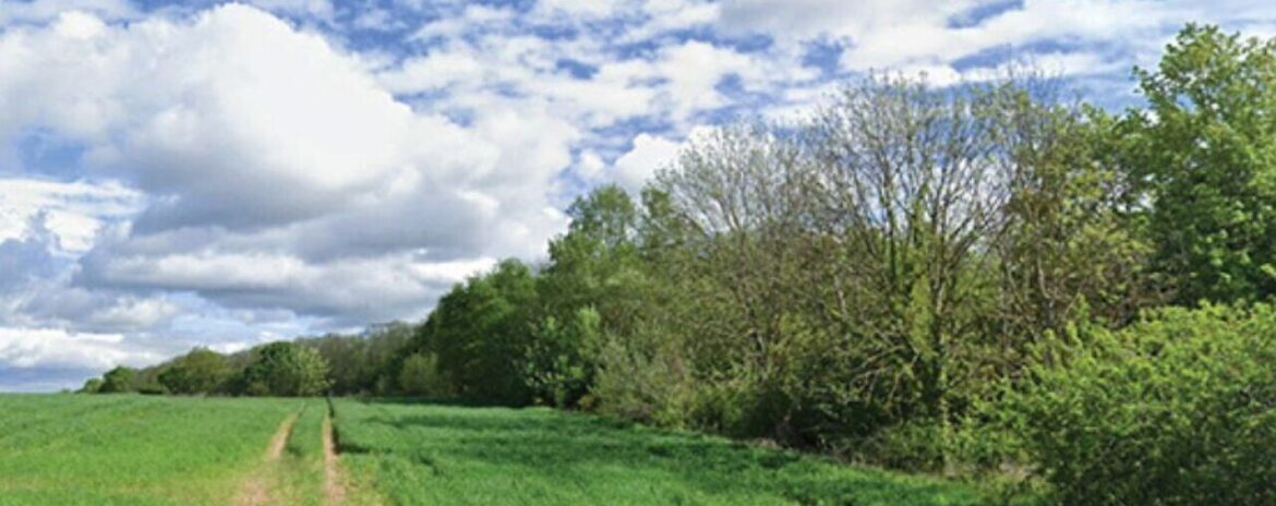 , Yvelines : cette ville attach&eacute;e &agrave; son cadre de vie continue de r&eacute;sister &agrave; l&rsquo;app&eacute;tit d&rsquo;un g&eacute;ant de l&rsquo;immobilier