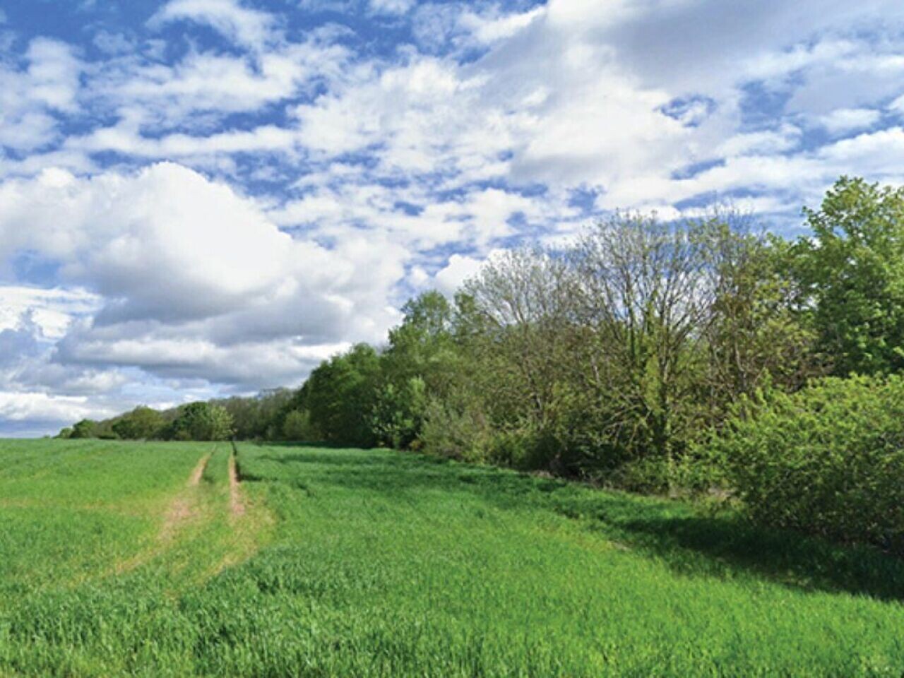 , Yvelines : cette ville attach&eacute;e &agrave; son cadre de vie continue de r&eacute;sister &agrave; l&rsquo;app&eacute;tit d&rsquo;un g&eacute;ant de l&rsquo;immobilier