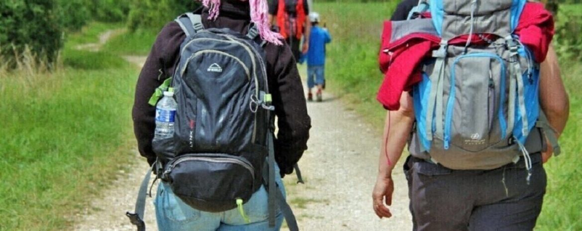 , Pays de Meaux : trois idées de randonnées pour découvrir le territoire autrement