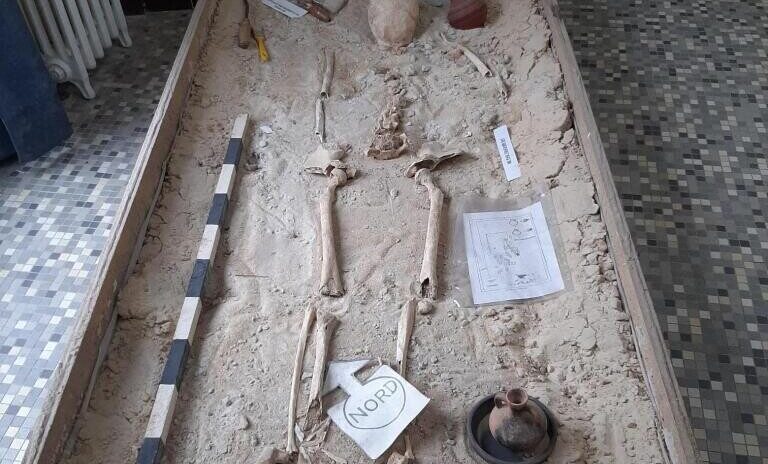 , Une semaine, un mus&eacute;e dans les Yvelines : d&eacute;couvrez les plus vieux secrets de Sainte-Mesme