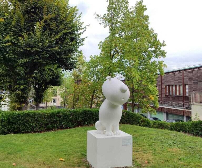 Toto chien laszlo tibay