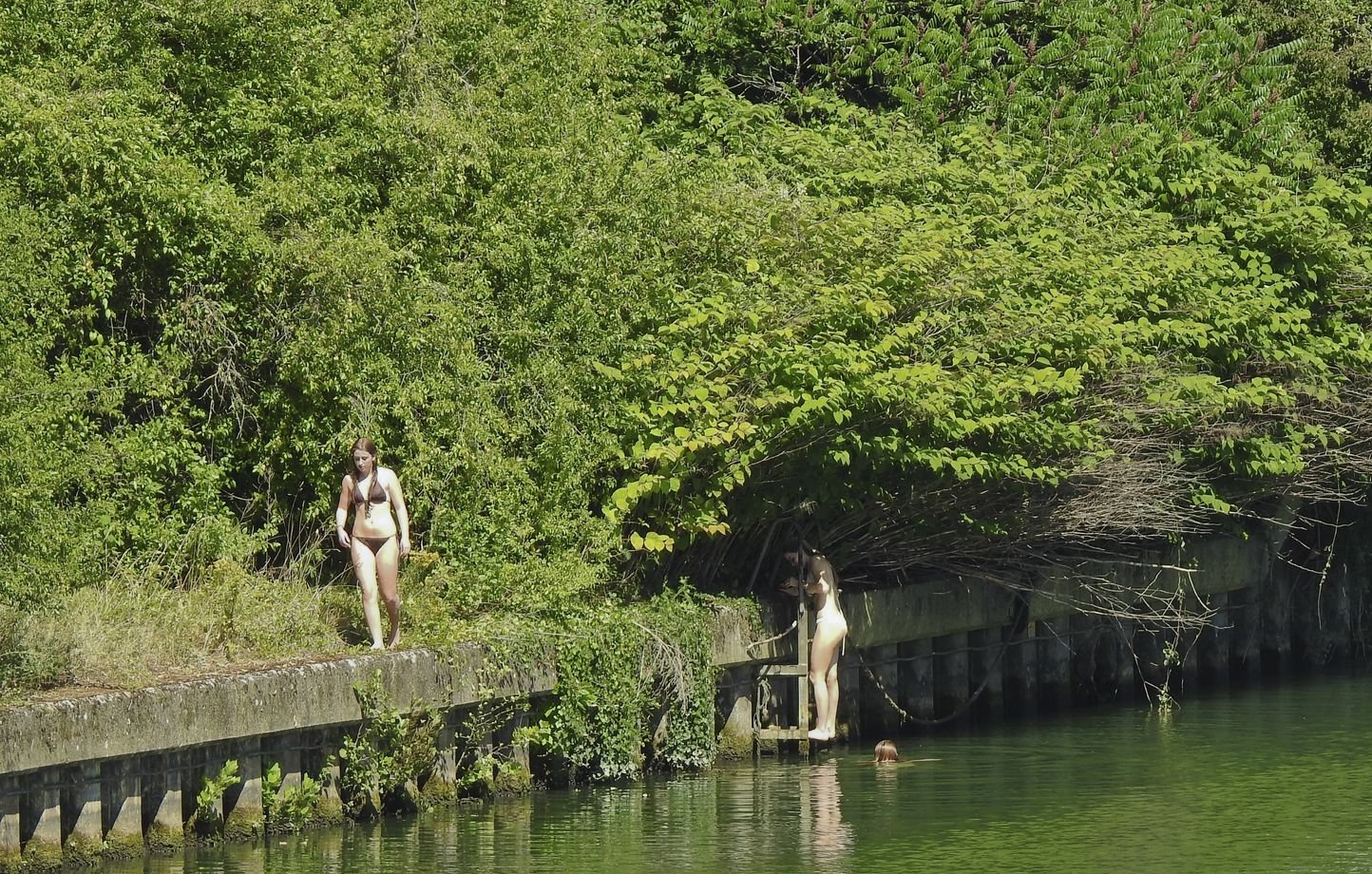 , Val-de-Marne : La Mairie et les habitants s’opposent à un projet d’aménagement dans la Marne pour la baignade