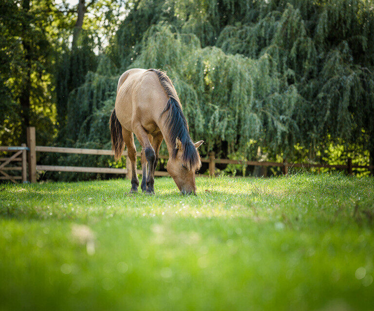 trzjhyrtjuktrukyukttu