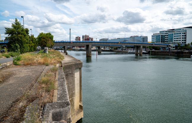 , Hauts-de-Seine : Pr&egrave;s de 25 tonnes de d&eacute;chets rep&ecirc;ch&eacute;s de la Seine lors d&rsquo;une op&eacute;ration de d&eacute;pollution
