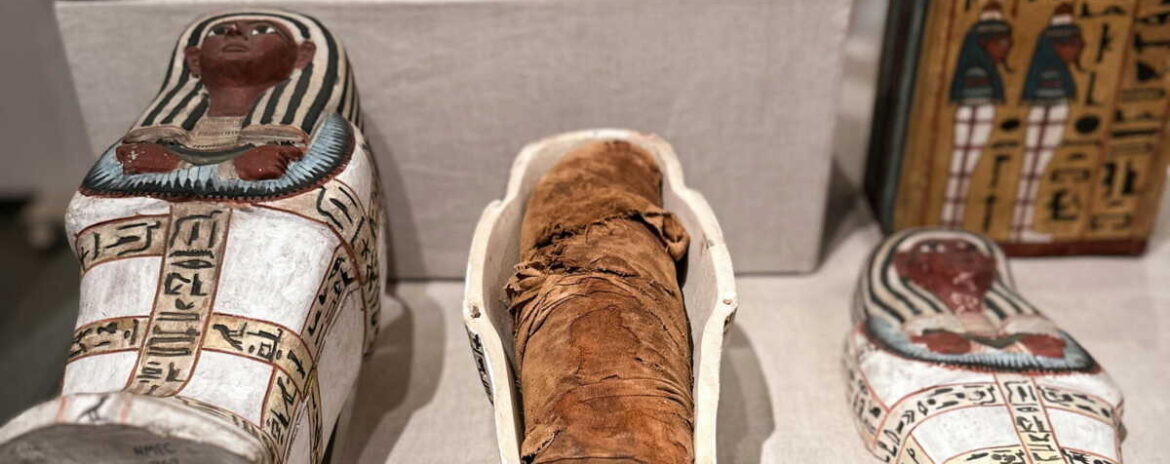 , Insolite : une momie &eacute;gyptienne vieille de 2 500 ans a &eacute;chapp&eacute; &agrave; une d&eacute;chetterie de la r&eacute;gion parisienne