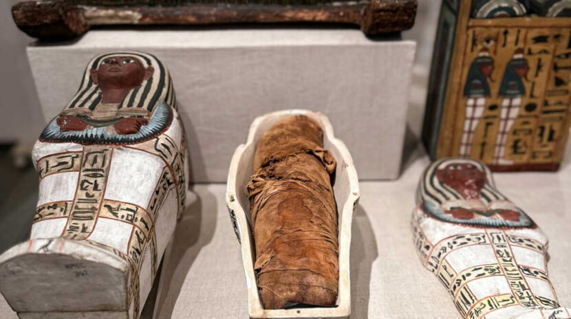 , Insolite : une momie égyptienne vieille de 2 500 ans a échappé à une déchetterie de la région parisienne