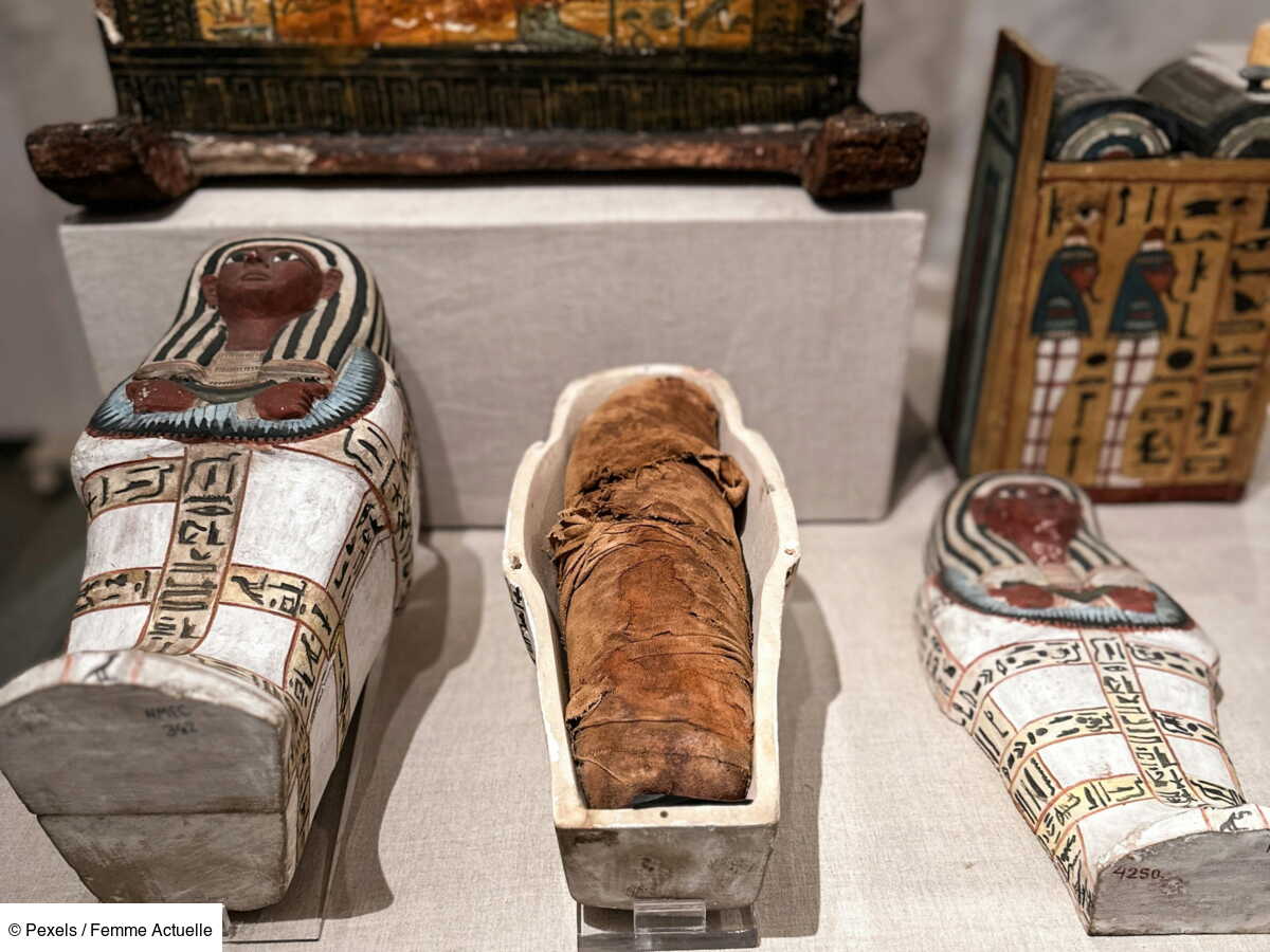 , Insolite : une momie &eacute;gyptienne vieille de 2 500 ans a &eacute;chapp&eacute; &agrave; une d&eacute;chetterie de la r&eacute;gion parisienne