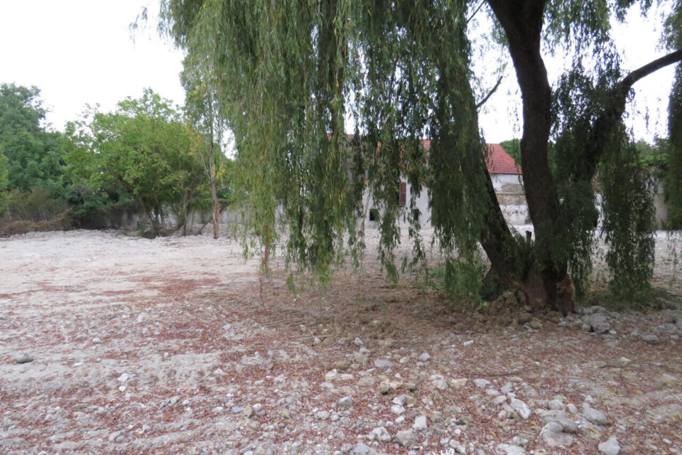 Environnement. La mairie fait stopper les travaux rue Poncelet Sous le saule pleureur se trouvait une mare, zone humide prot&eacute;g&eacute;e avant les travaux de terrassement. - IMG_6836