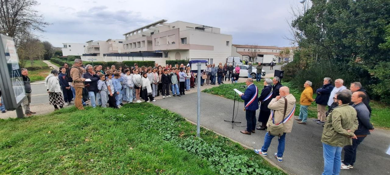 illustration agrandir l'image