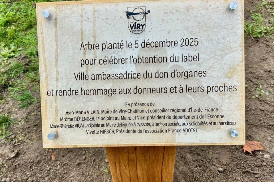Pour c&eacute;l&eacute;brer cette obtention, un arbre a &eacute;t&eacute; plant&eacute; au sein du Parc Andr&eacute; Leblanc.