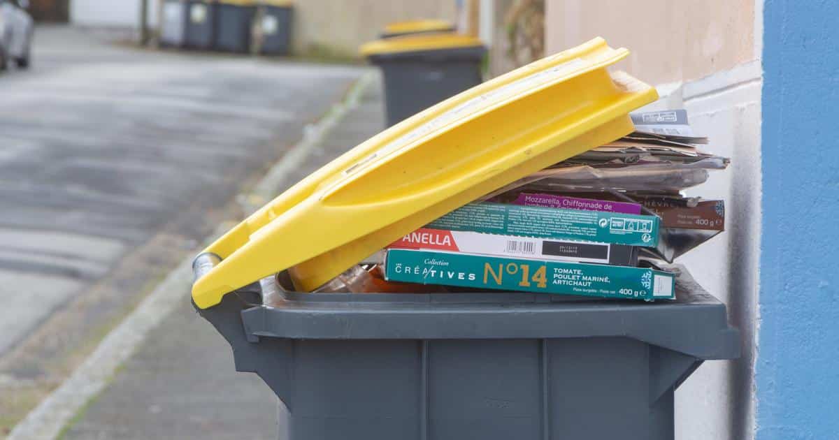, Paprec signe le contrat «le plus important» de son histoire, pour une usine d’incinération en Seine-et-Marne