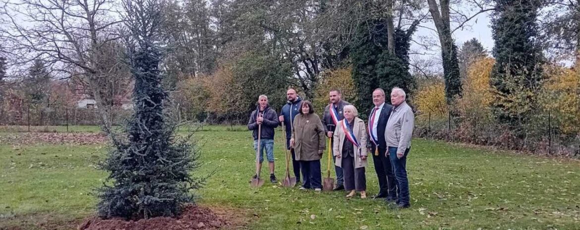 , Seine-et-Marne : un nouvel arbre de l&rsquo;Europe a &eacute;t&eacute; plant&eacute; &agrave; Choisy-en-Brie