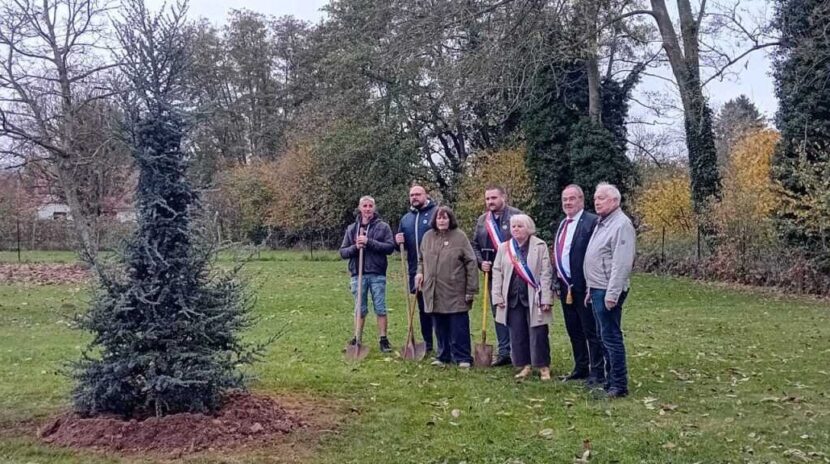 , Seine-et-Marne : un nouvel arbre de l’Europe a été planté à Choisy-en-Brie