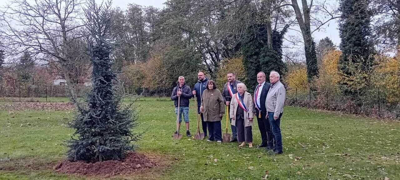 , Seine-et-Marne : un nouvel arbre de l&rsquo;Europe a &eacute;t&eacute; plant&eacute; &agrave; Choisy-en-Brie