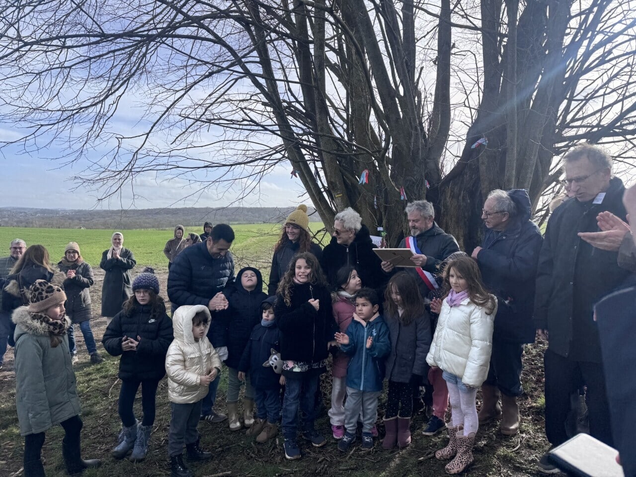 , Dans ce village du Val-d’Oise, un tilleul est reconnu Arbre remarquable