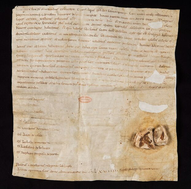 Cette
charte royale du roi cap&eacute;tien Philippe Ier, qui confirme la possession de terres &agrave; l&rsquo;Abbaye de Saint-Martin de Pontoise, pour laquelle le roi apporte sa protection, est le plus vieux document conserv&eacute; aux archives d&eacute;partementales du Val-d'Oise. Elle date de 1069.