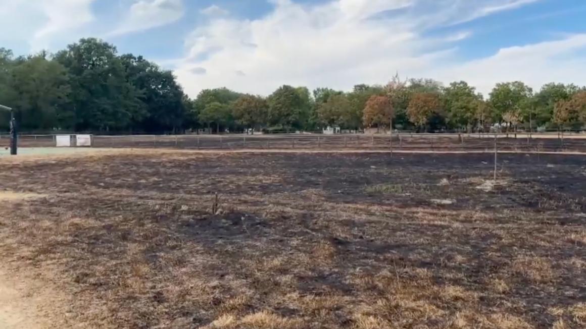 , «Tenez vos gamins !» : la colère du maire de Neuilly-sur-Marne après l’incendie d’un parc provoqué par des enfants avec des mortiers